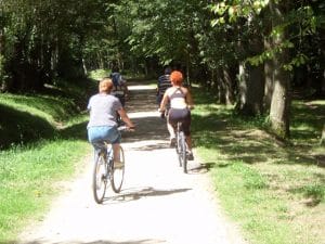 velo 560 420 300x225